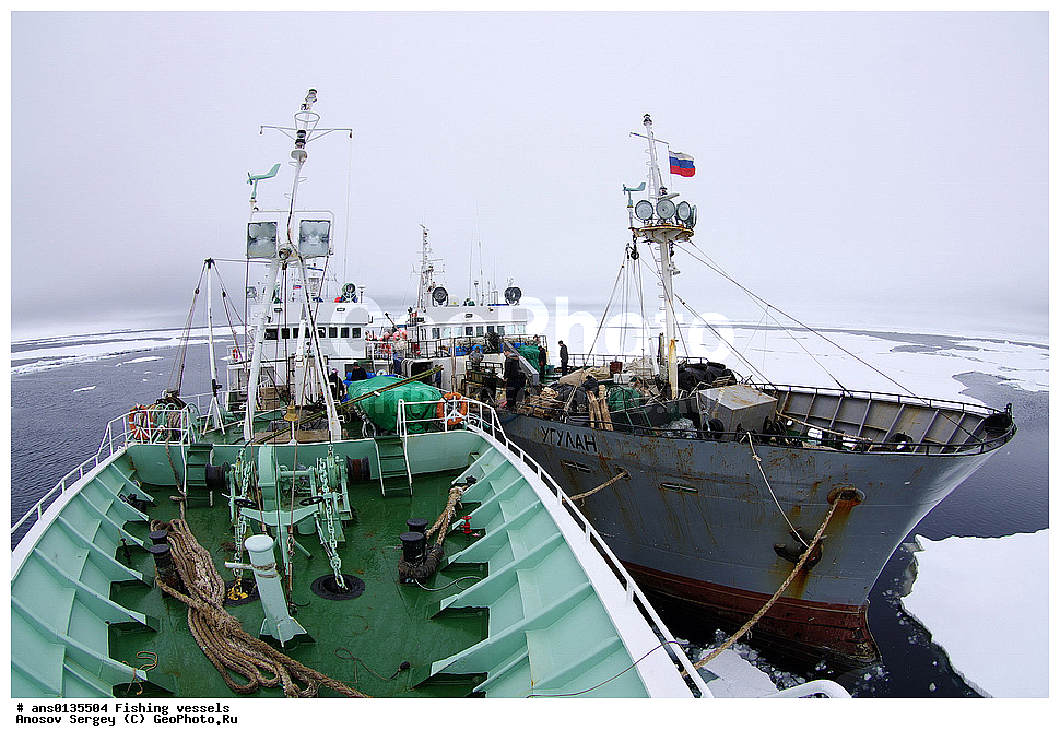 ����������, ����������, ���, ������, ��, ��� ����, �������, �������, ������� �������������� ������������ ��������, ������� < ������ >