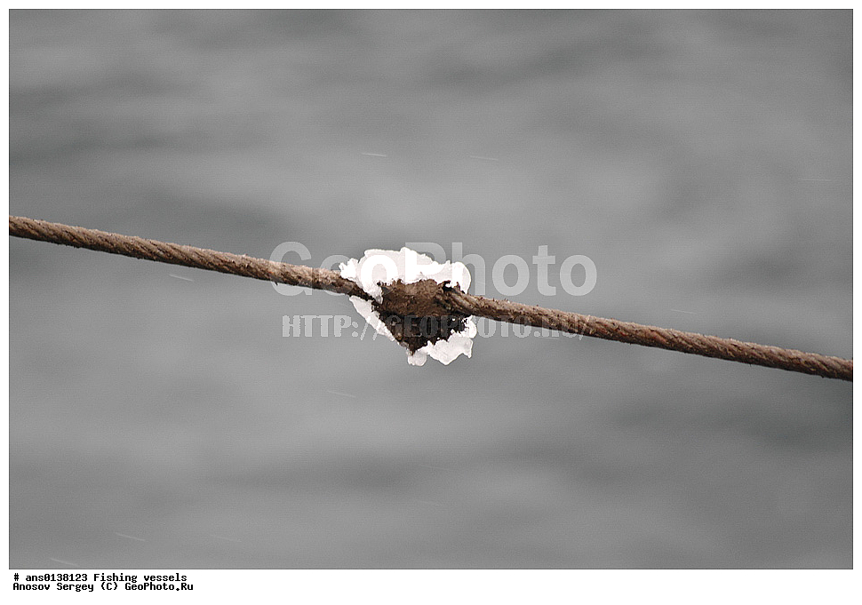 ����������, ����������, ���, ������, ��, ��� ����, �������, �������, ������� �������������� ������������ ��������, ������� < ������� >, � ����� ���������� ��������