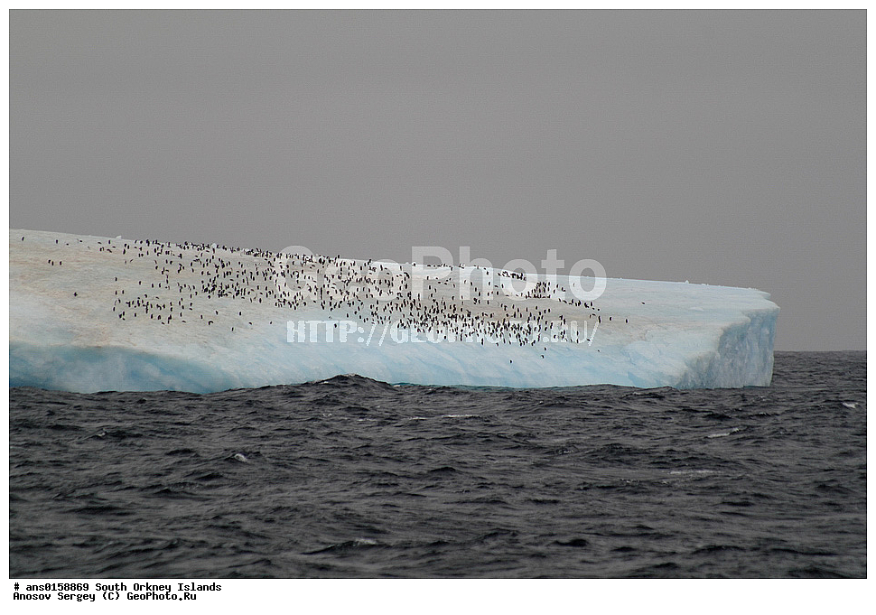 �������������� ������, ����������, ����������, ���, ������, ��, ����� ���������� �������