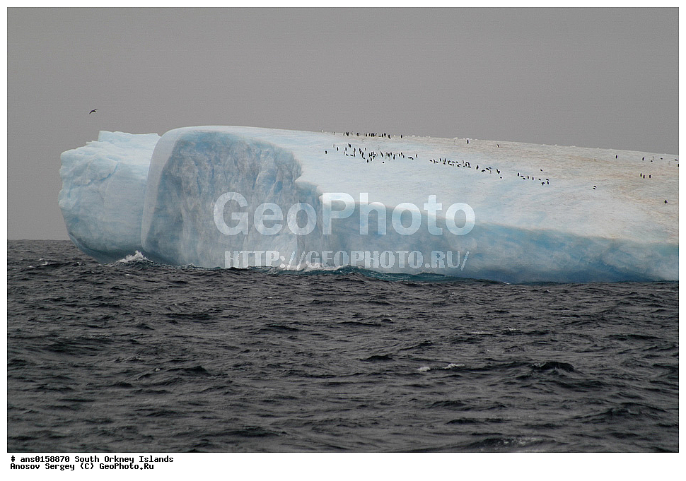 �������������� ������, ����������, ����������, ���, ������, ��, ����� ���������� �������