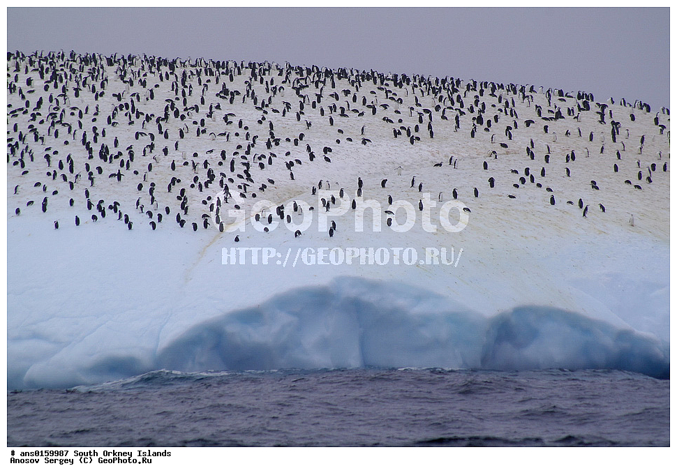 �������������� ������, ����������, ����������, ���, ������, ��, ����� ���������� �������