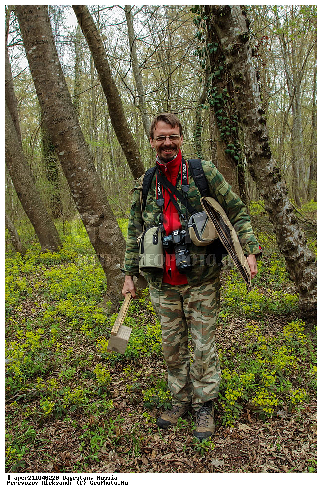 ����������, ��������� ���, ��������