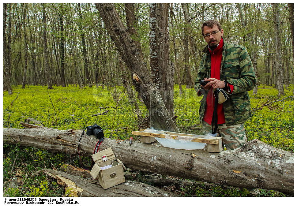 ����������, ��������� ���, ��������