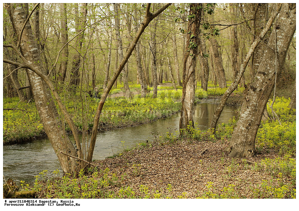 ��������� ���, ��������, �����, ���������