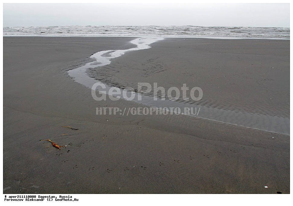 ���������� ��������, ����������� �����, ���� �����, ���������� ���������, ������, ��������, ������