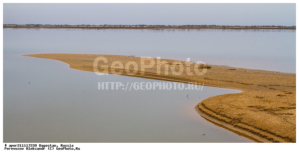 ���������� ��������, ����������� �����, ���� �����, ���������� ���������, ������, ��������, ������