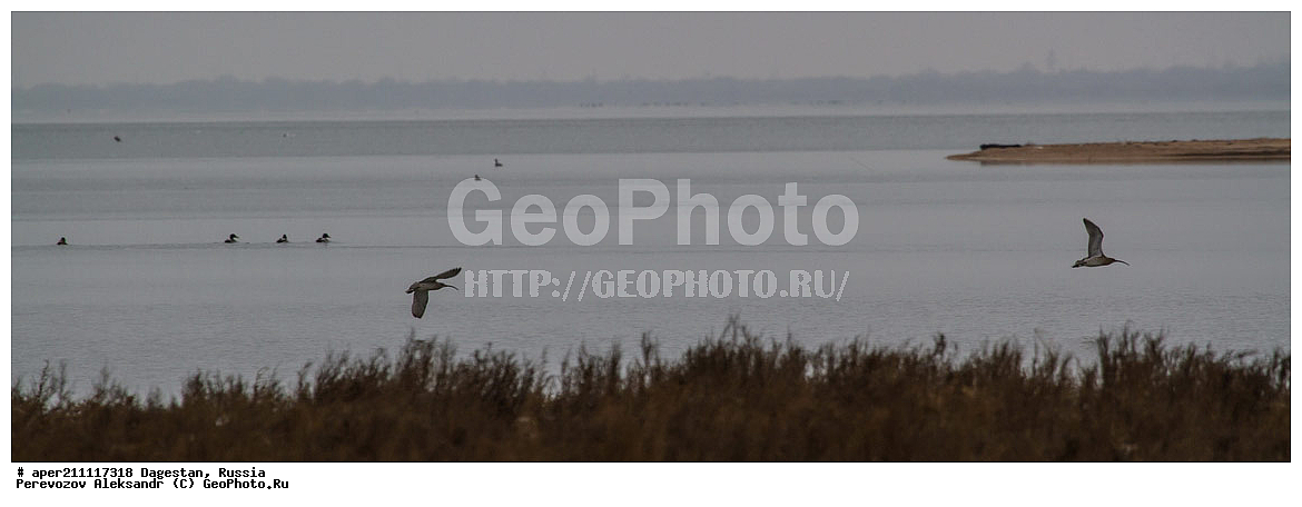 ����������� �����, ���� �����, ���������� ���������, ������, ��������, ������, ��������, ��������, �����, �����, ��������, �����������