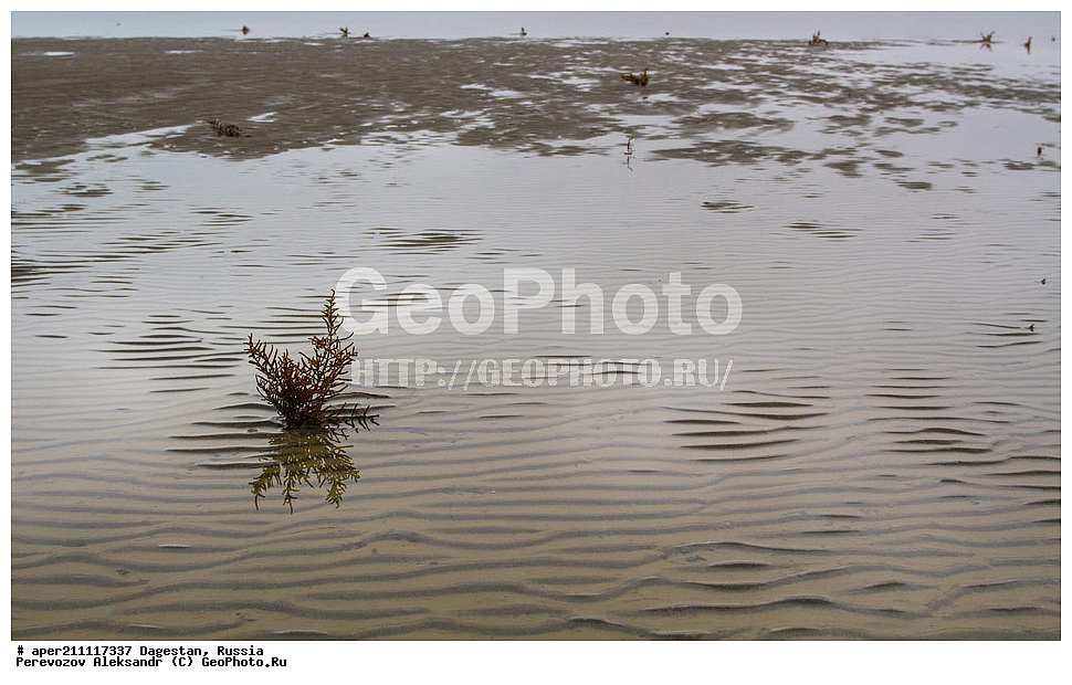 ���������� ��������, ����������� �����, ���� �����, ���������� ���������, ������, ��������, ������