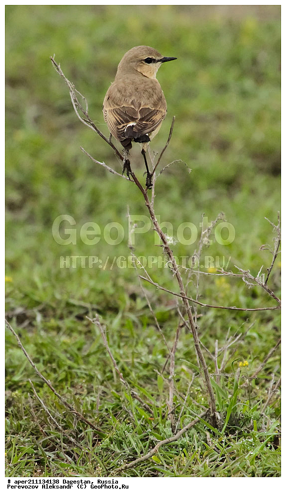  �����, ���������� �����, ���������� ���������, ������, ��������, ������, ��������, ��������, �����, �����, ��������, �����������