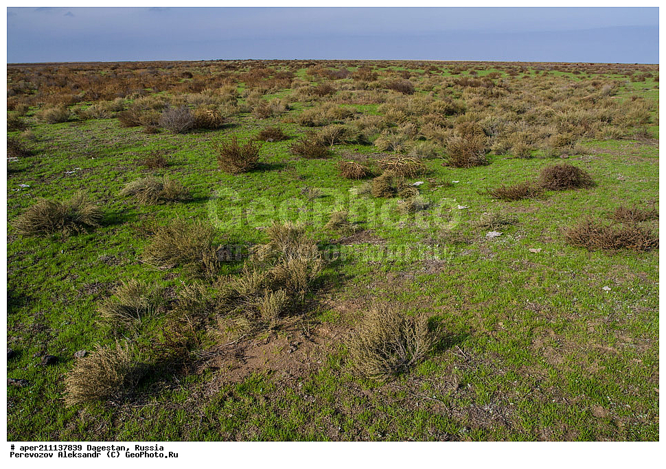 ����� ��������, ���������� �����, ���������� ���������, ������, ��������, ������