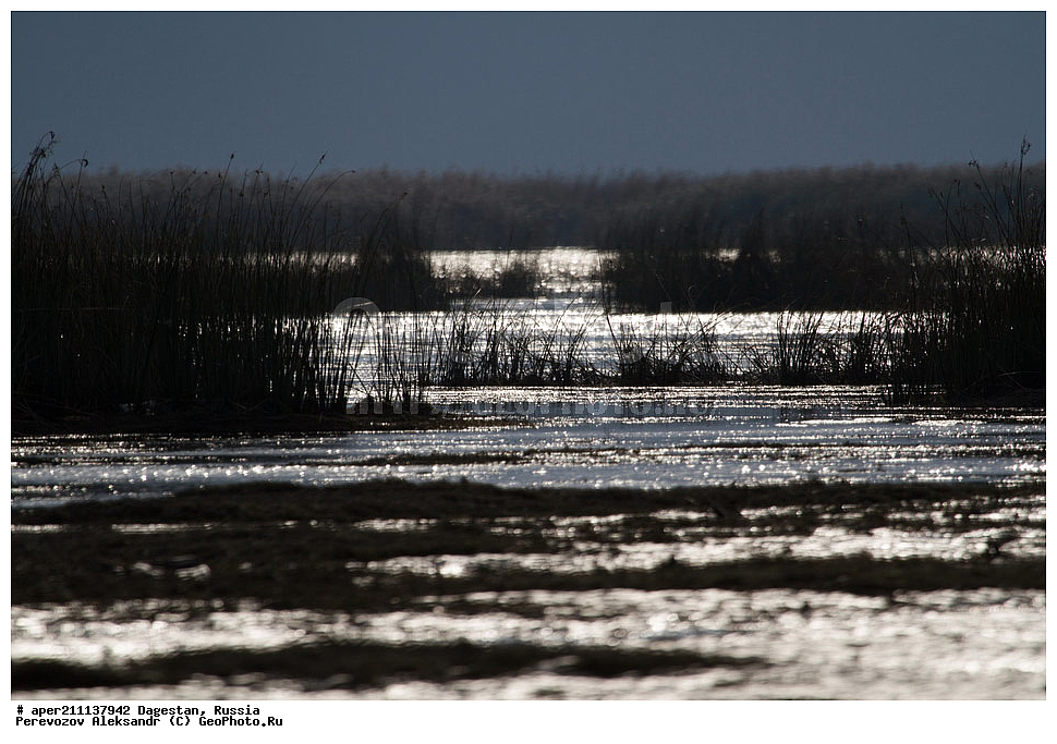 ����� ��������, ���������� �����, ���������� ���������, ������, ��������, ������