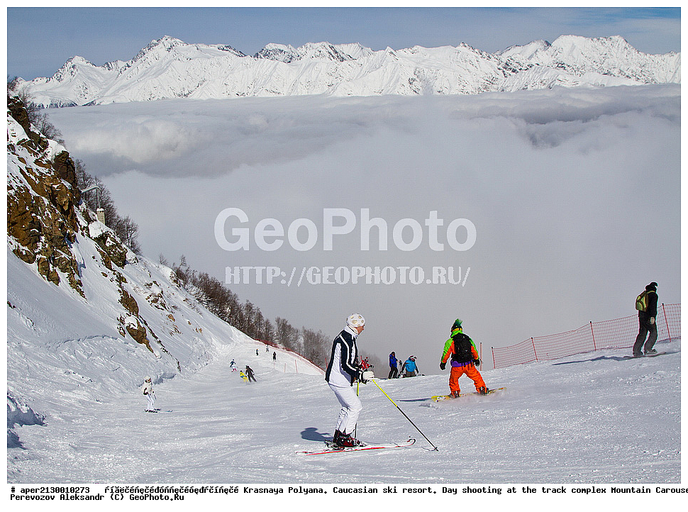  ������� ������, ������, ������, ����, ���������, 2014,  ����������, ����������� ������, ����������� ������, ������, ��������, ������ ��������, ������ ����