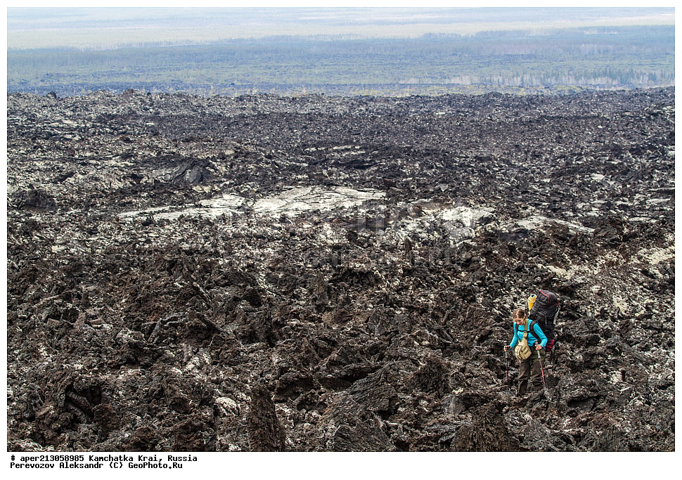 ���������� ��������, ���������� ����, ��������