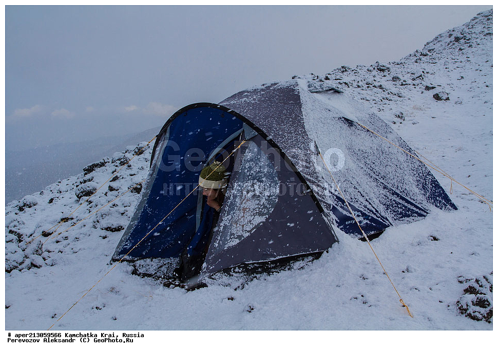 ���������� ��������, ���������� ����, ��������