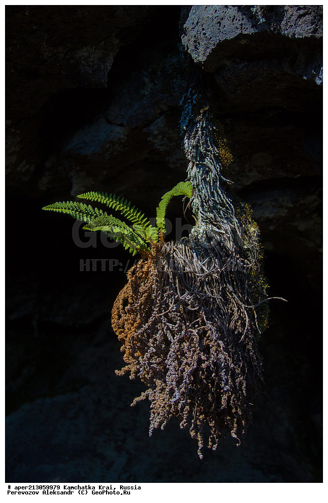 ������ ��������, �����, ��������, ���������� ��������, ������������ ��������, XYZ, ����������, �������������,  ���������� ��������, ���������� ����, 