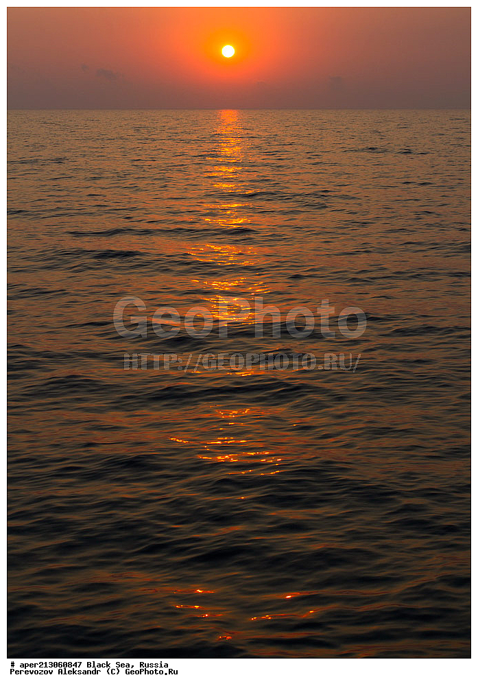 ������� ������, ������ ����