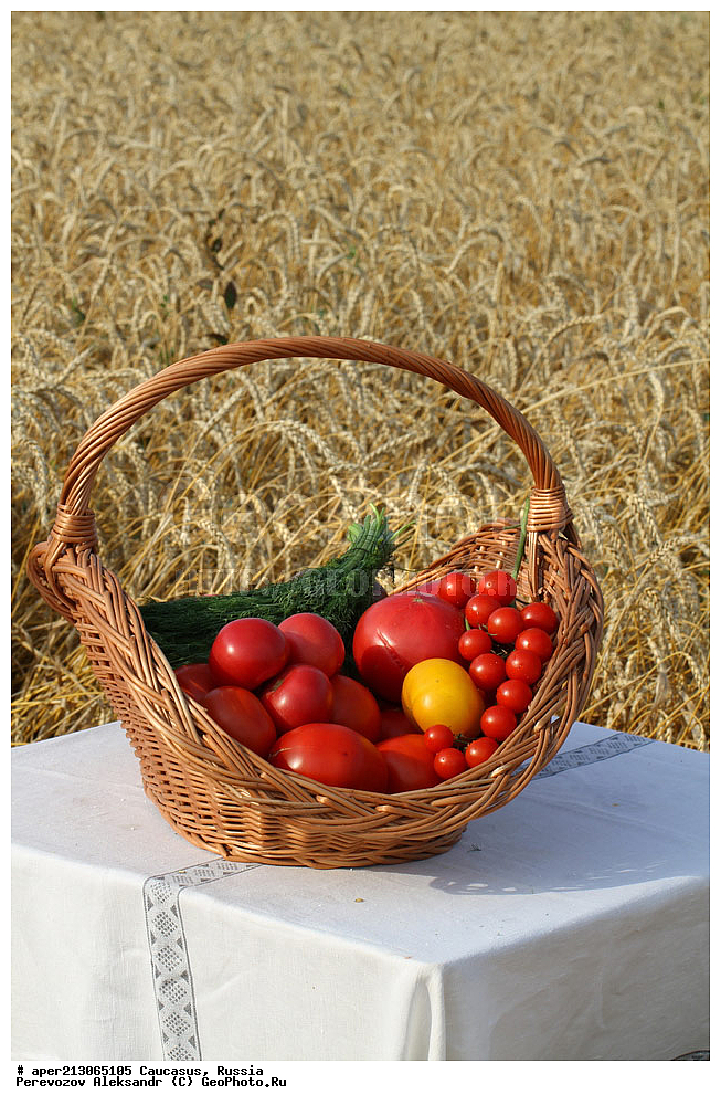 ������, ���, ����, �����, ��������, �������, ��������, ������