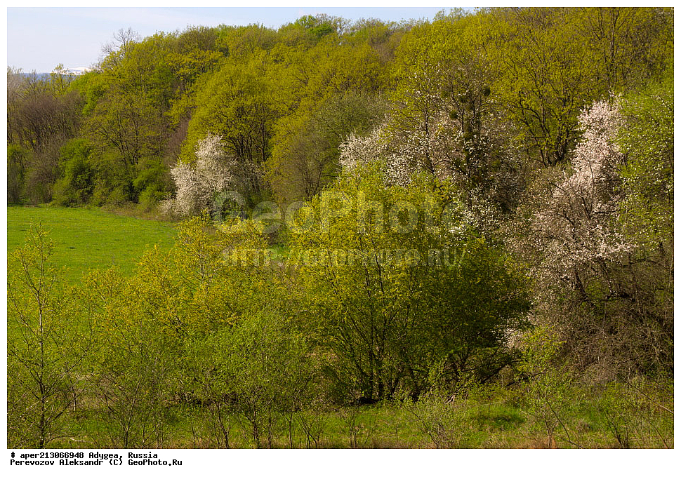 ������, ������, �������� ������