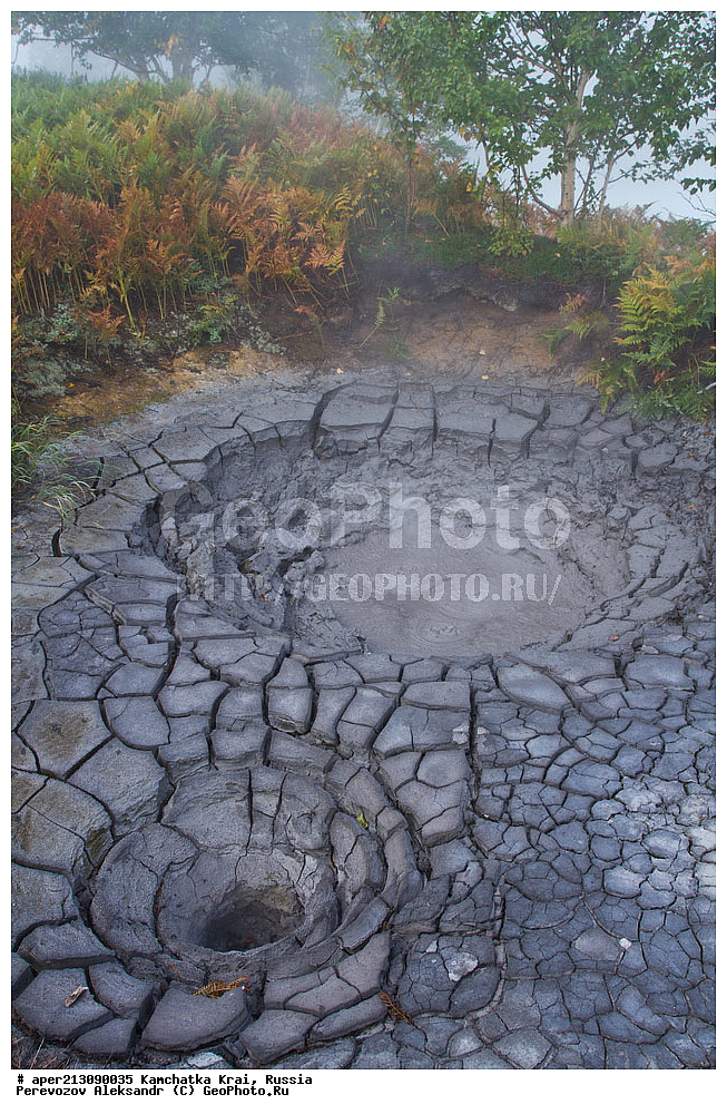  ���������� ��������, ���������� ����, ��������� ����������, ������, �������� ����, �������