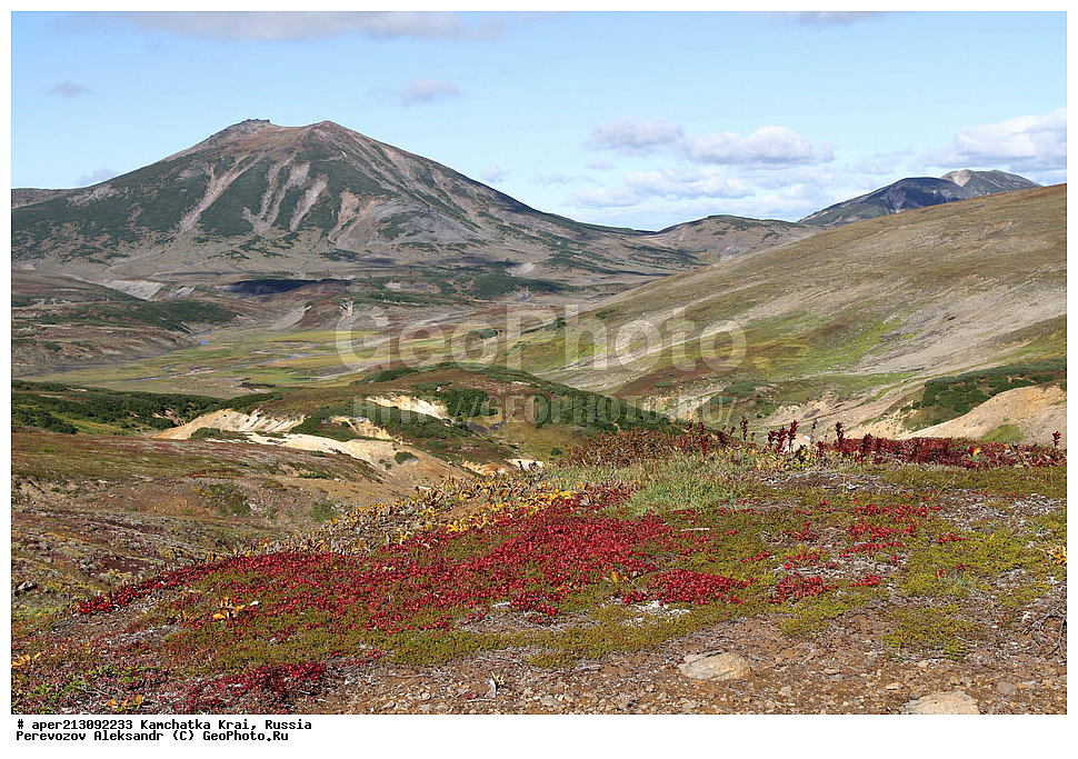 ���������� ��������, ���������� ����, ������ �����, �����