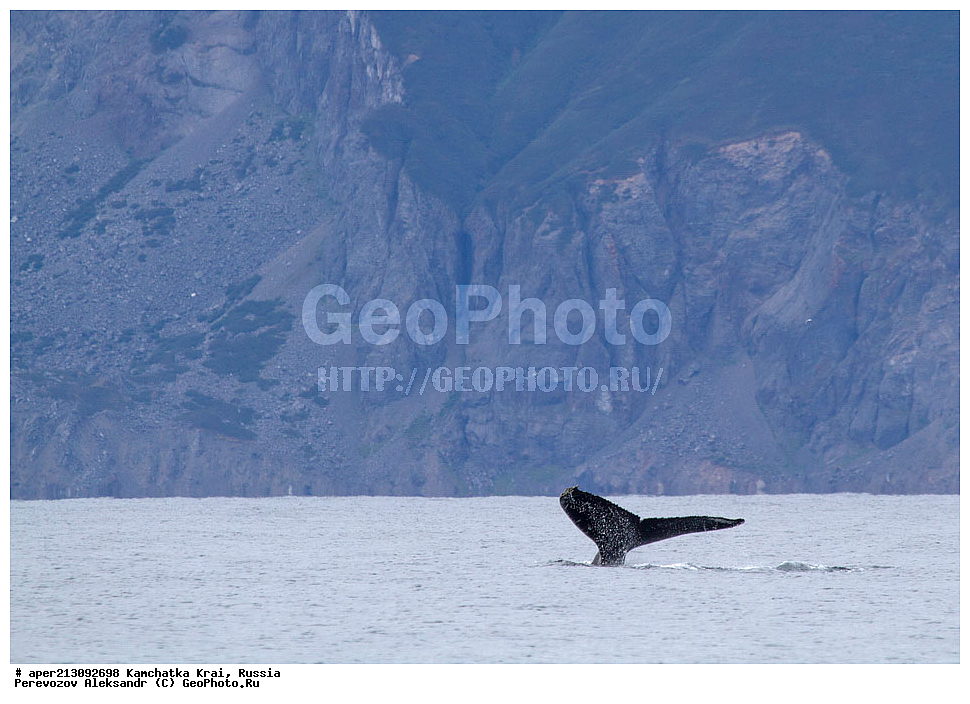 ���������� ��������, ���������� ����, ������������� ���������, ����� �����, �����