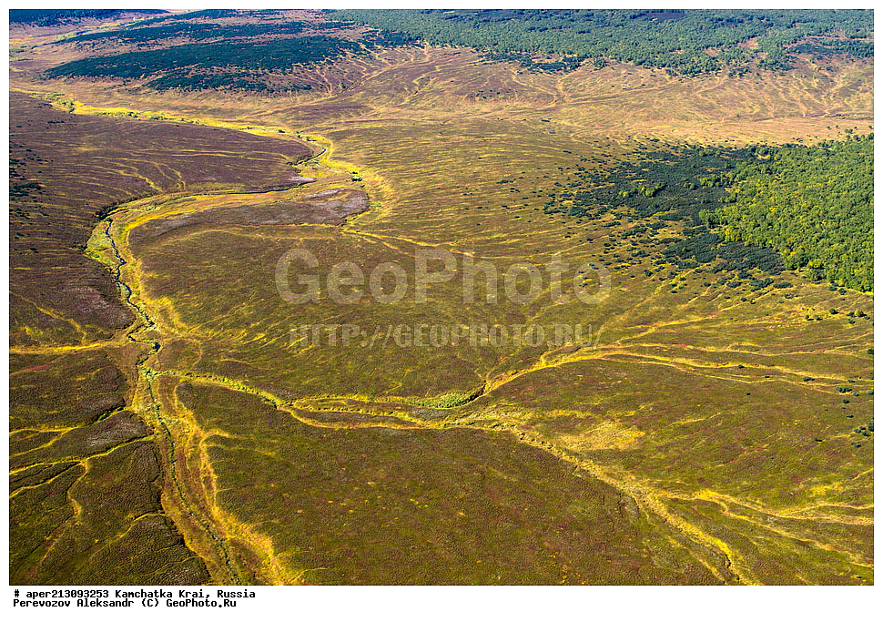 ���������� ��������, ���������� ����, ��������� ����������, ������, ����������, ���������� �����