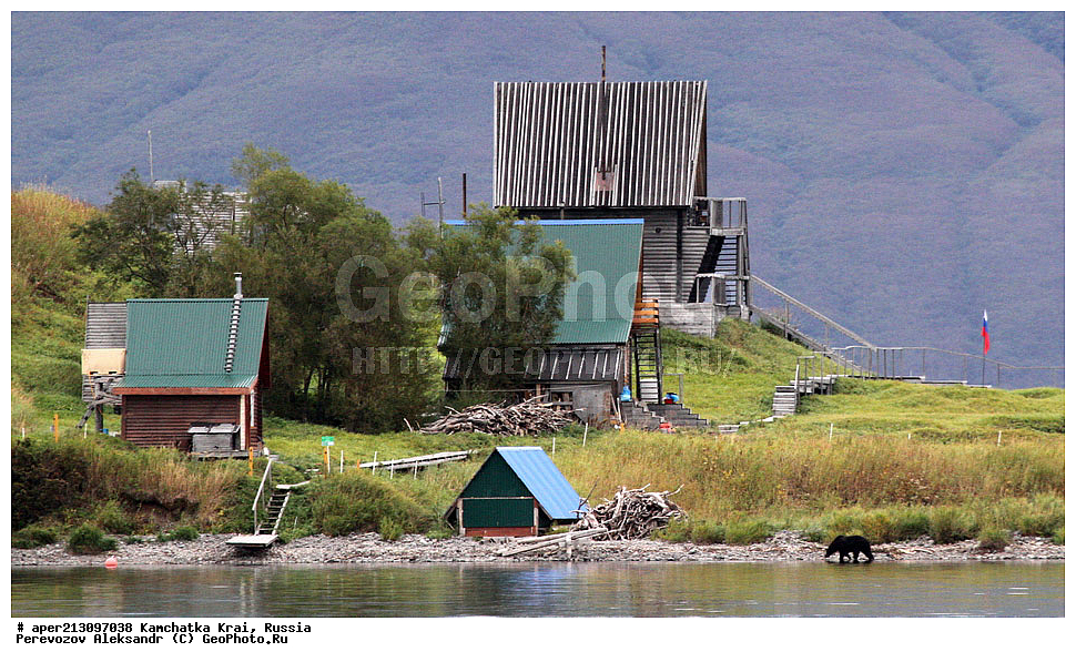 ���������� ��������, ���������� ����, ��������� ����������, ������, ������, ��� ��������, ���������� �����, �����