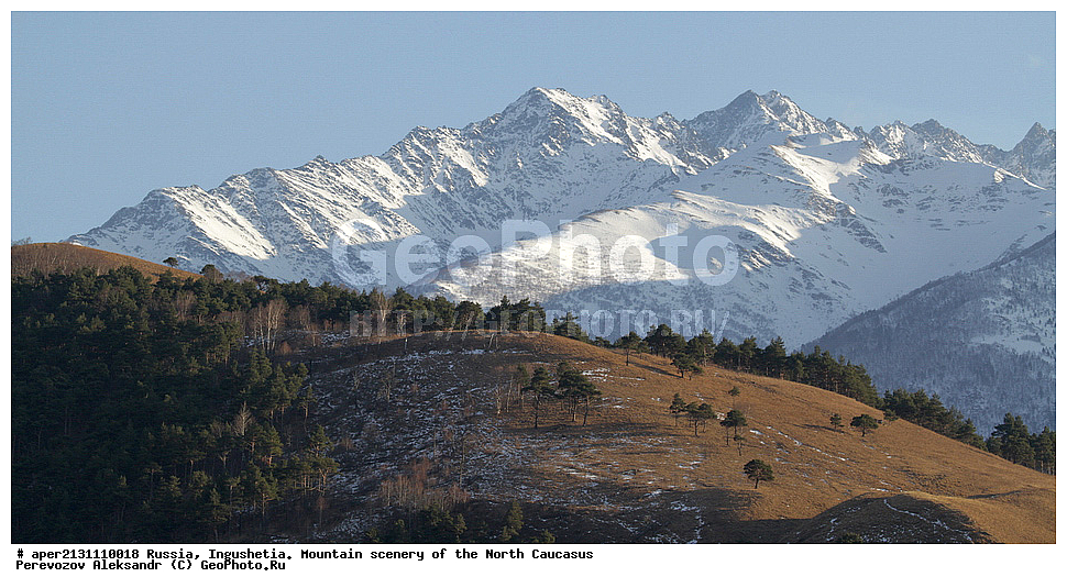 ������, ���������,  ������, �������� ������, ����, ������, ������� ���������� �����, ������ ��������, ������ ������