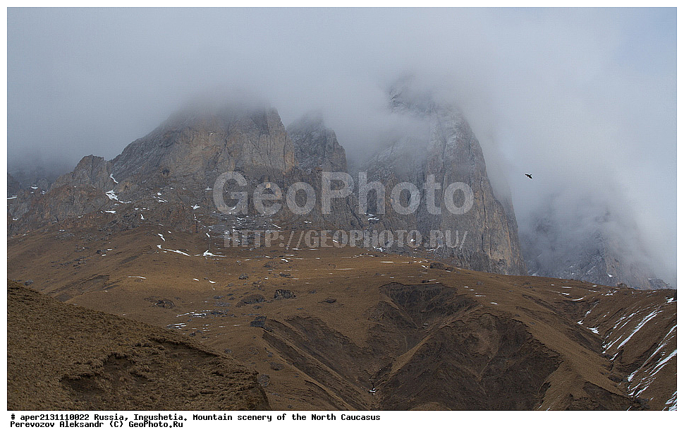 ������, ���������,  ������, �������� ������, ����, ������, ������� ���������� �����, ������ ��������, ������ ������