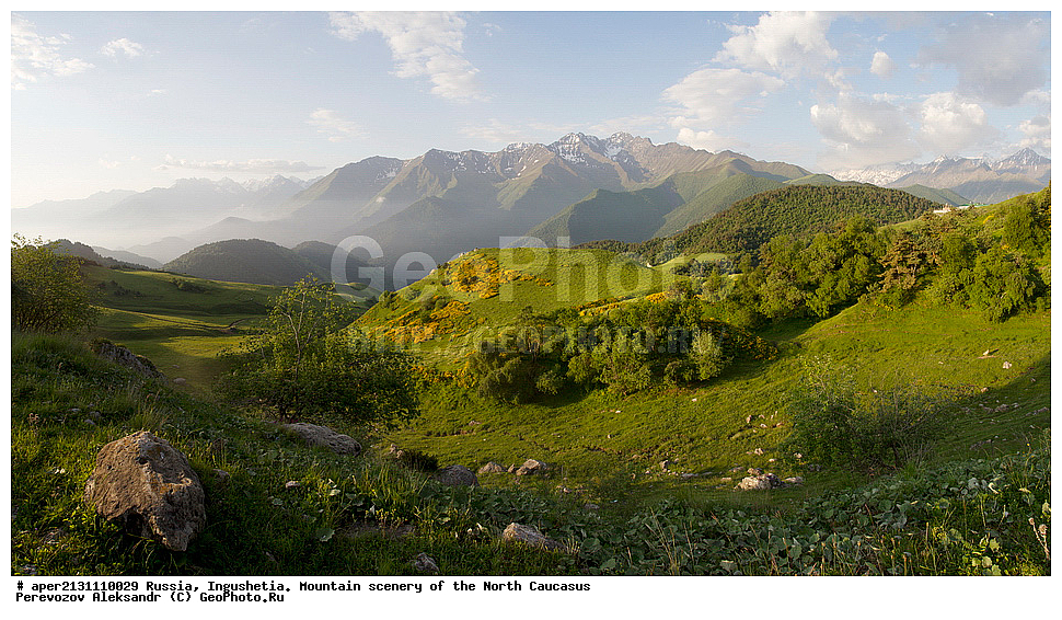 ������, ���������,  ������, �������� ������, ����, ������, ������� ���������� �����, ������ ��������, ������ ������