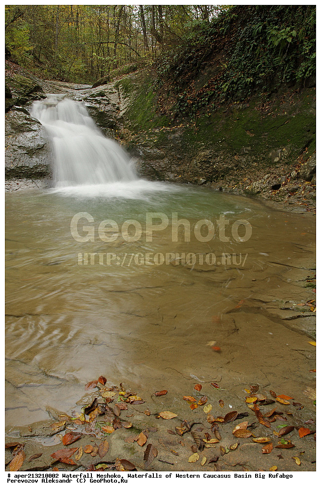 �������, ������, �������� ������,  ����,  ������� �������