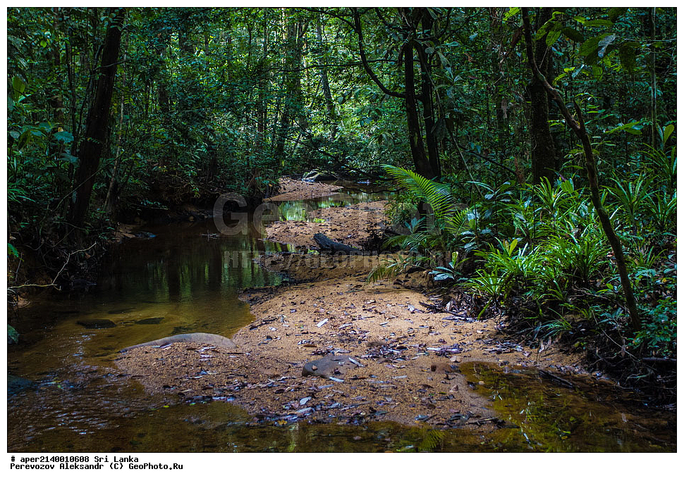 ��������, ������������ ���� ����������, ���-�����, ��������������� ���������������� ���������� ���-�����, ������, �������, ����������� ���, �������� ���