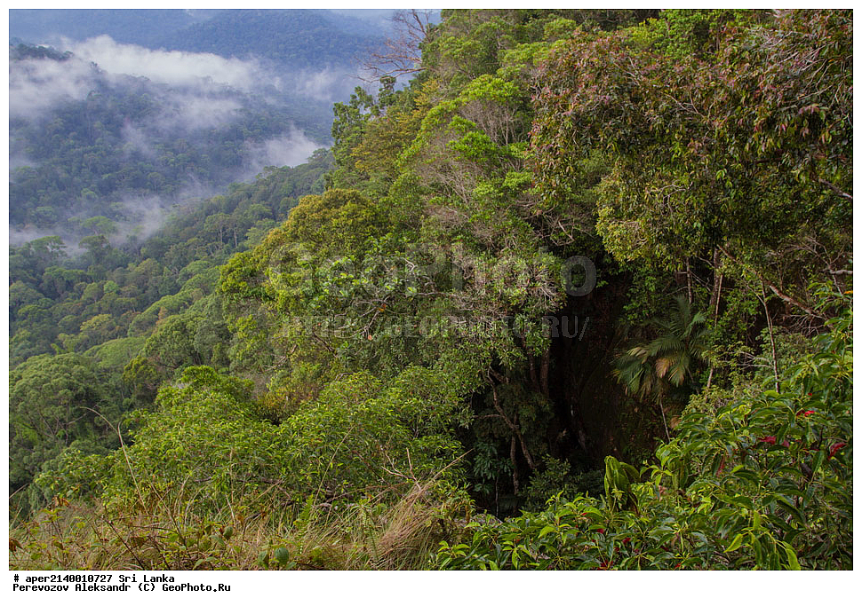 ��������, ������������ ���� ����������, ���-�����, ��������������� ���������������� ���������� ���-�����, ������, �������, ����������� ���, �������� ���