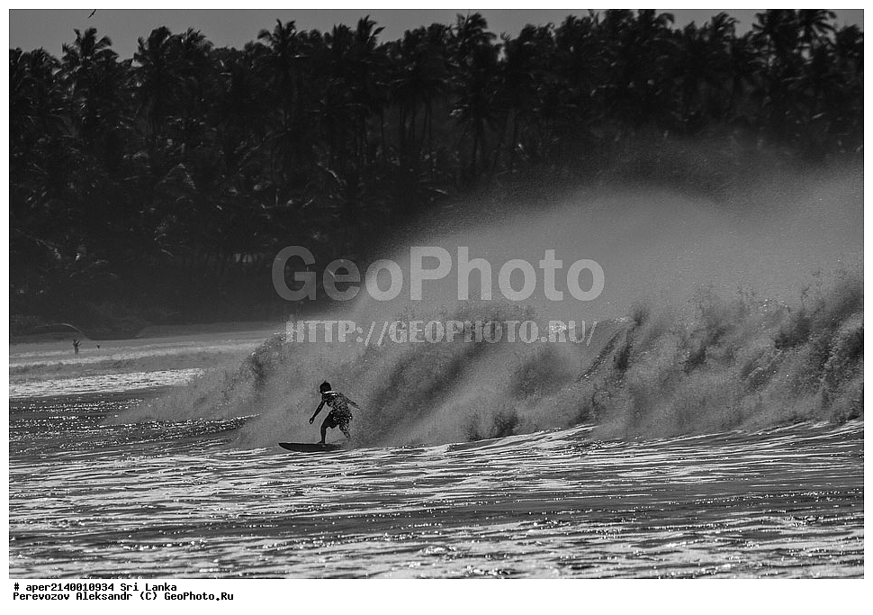 C������, ���������, ���-�����, ��������������� ���������������� ���������� ���-�����, ������, �������, ���������, ���-�����, ��������������� ���������������� ���������� ���-�����, ������, Ѹ�����, �������, ���������, ���-�����, ��������������� ���������������� ���������� ���-�����, ������