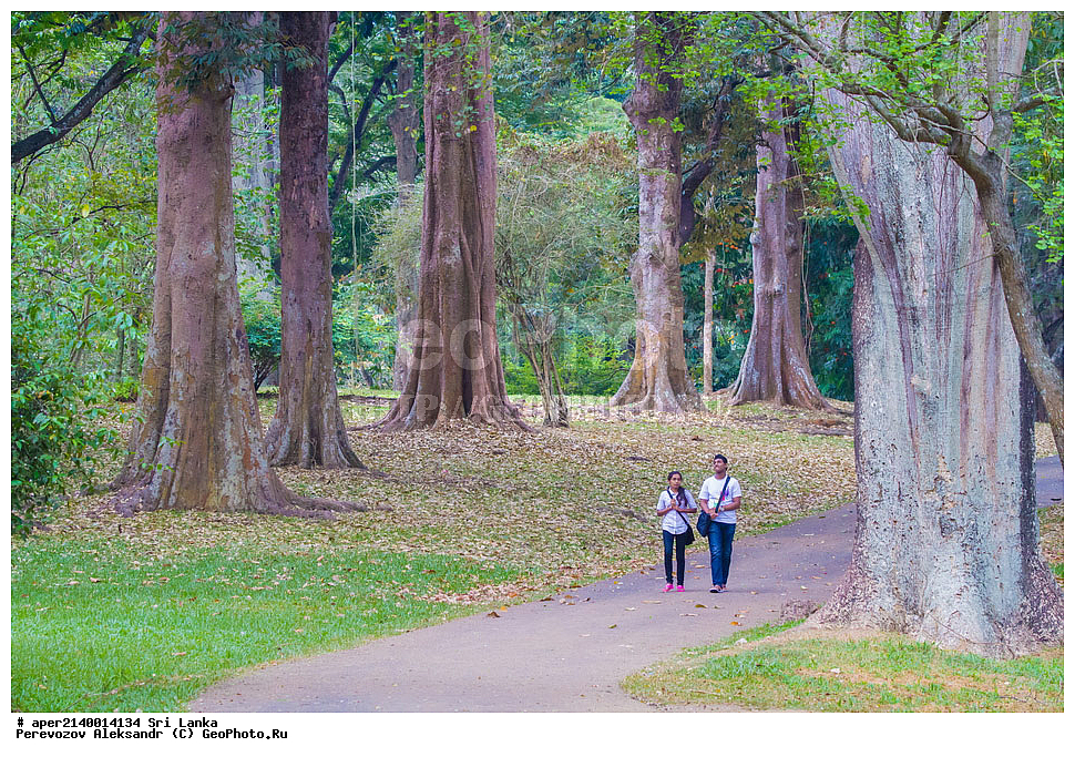 ������������ ���, ������, �����, ���-�����, ��������������� ���������������� ���������� ���-�����, ������