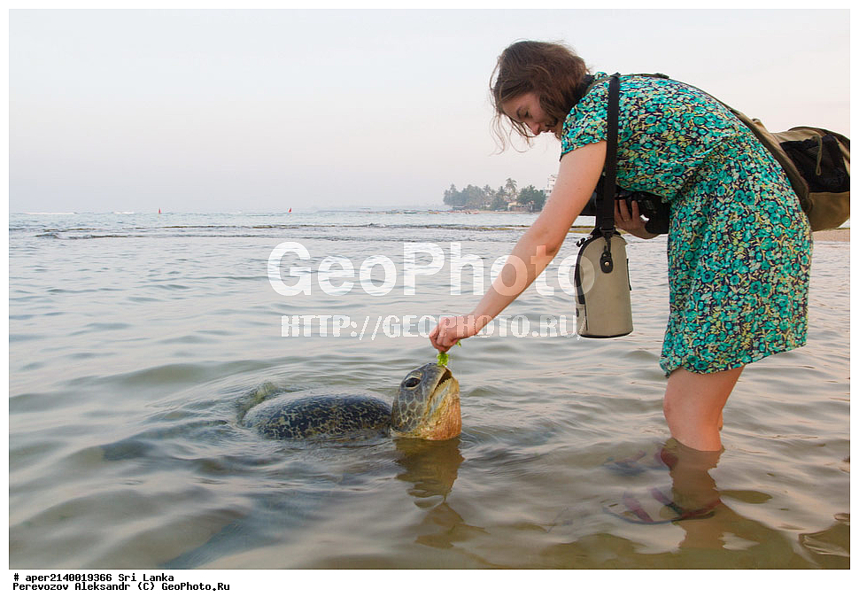 ��������, ���������, ���-�����, ��������������� ���������������� ���������� ���-�����, ������