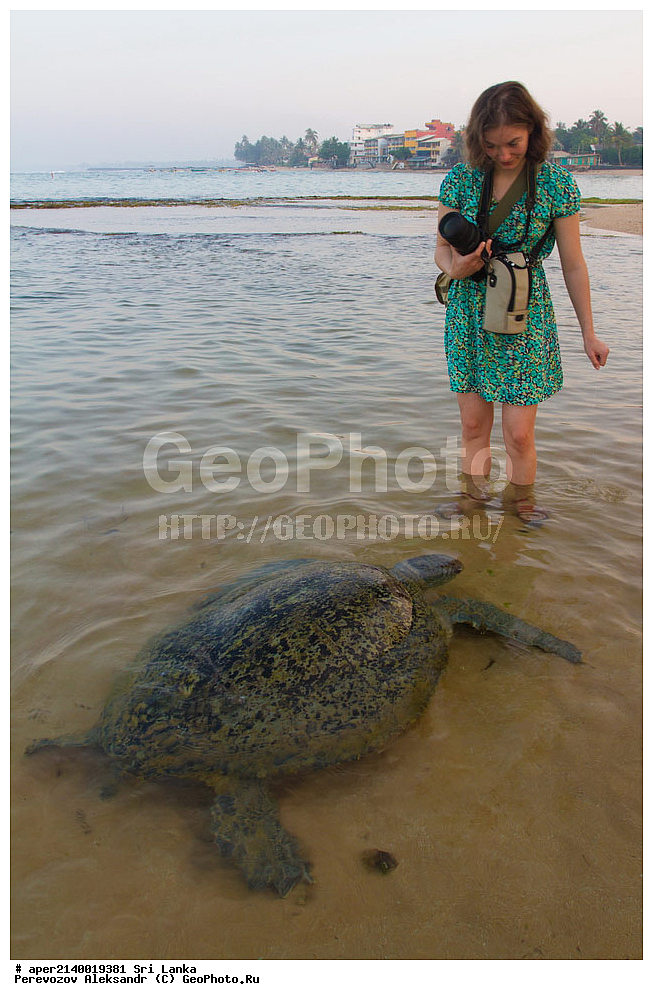 ��������, ���������, ���-�����, ��������������� ���������������� ���������� ���-�����, ������