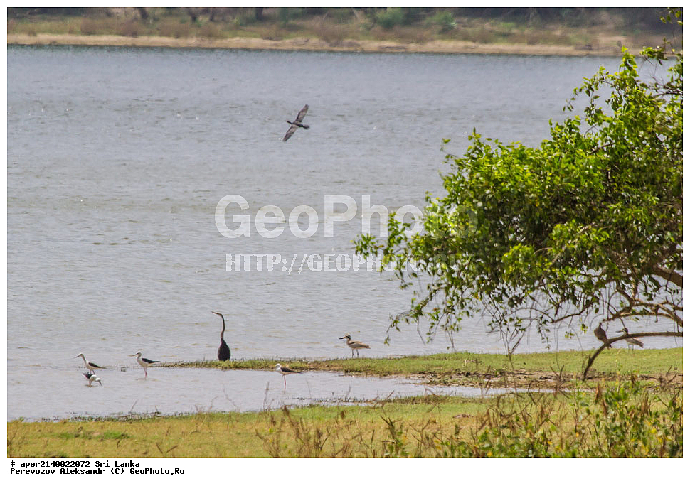 ��������, ��������, �����, �����, ��������, �����������, ���-�����, ��������������� ���������������� ���������� ���-�����, ������, XYZ