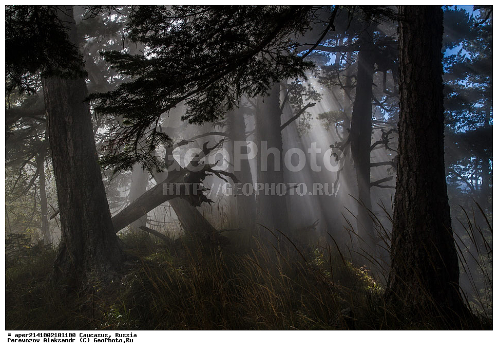 ������������� ����, ���������� ������, ���������-���������� ����������, ������, ���, ������, �������� ������, ���������� ��������������� ����������, �����, ���������� ��������������� ��������� ���������� ���������� ����� �. �. �����������, ������� �����, ����, �������� ���, ���, ������