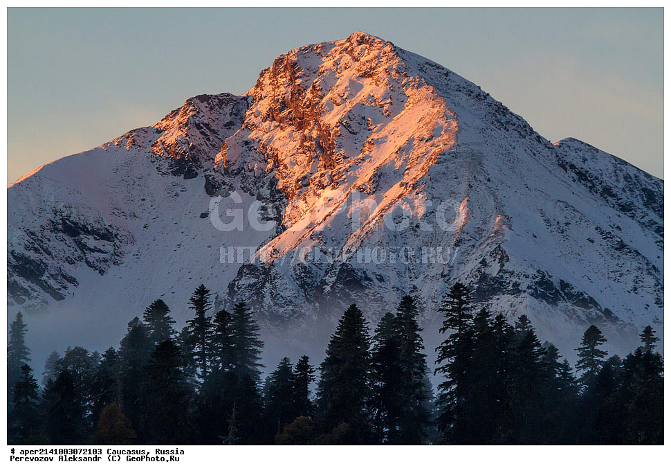 ������������� ����, ���������� ������, ���������-���������� ����������, ������, ���, ������, �������� ������, ���������� ��������������� ����������, �����, ���������� ��������������� ��������� ���������� ���������� ����� �. �. �����������, ������ �������, ����, ������