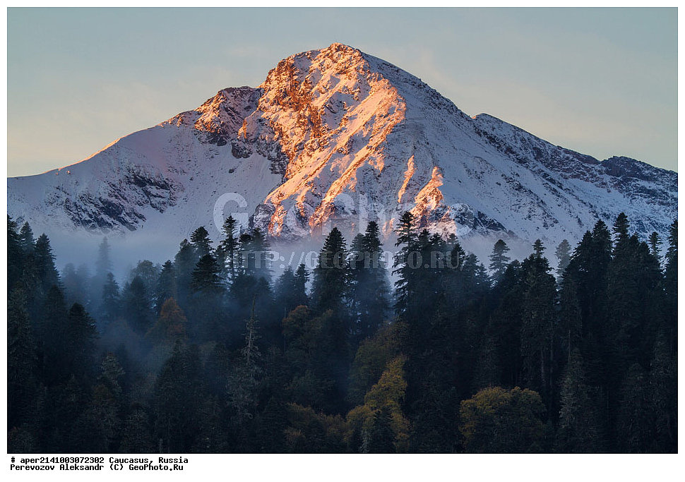 ������������� ����, ���������� ������, ���������-���������� ����������, ������, ���, ������, �������� ������, ���������� ��������������� ����������, �����, ���������� ��������������� ��������� ���������� ���������� ����� �. �. �����������, ������ �������, ����, ������