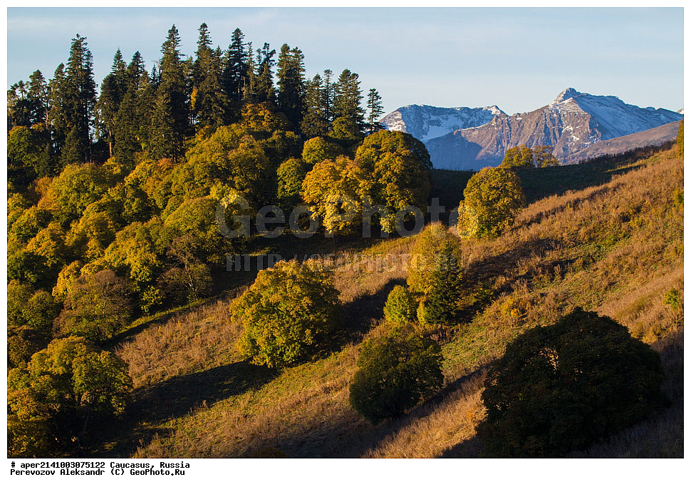 ������������� ����, ���������� ������, ���������-���������� ����������, ������, ���, ������, �������� ������, ���������� ��������������� ����������, �����, ���������� ��������������� ��������� ���������� ���������� ����� �. �. �����������, ������ �������, ����, ������