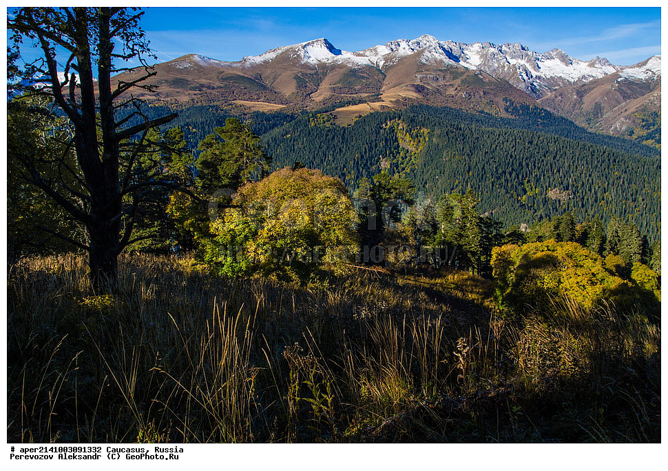 ������������� ����, ���������� ������, ���������-���������� ����������, ������, ���, ������, �������� ������, ���������� ��������������� ����������, �����, ���������� ��������������� ��������� ���������� ���������� ����� �. �. �����������, ������ �������, ����, ������