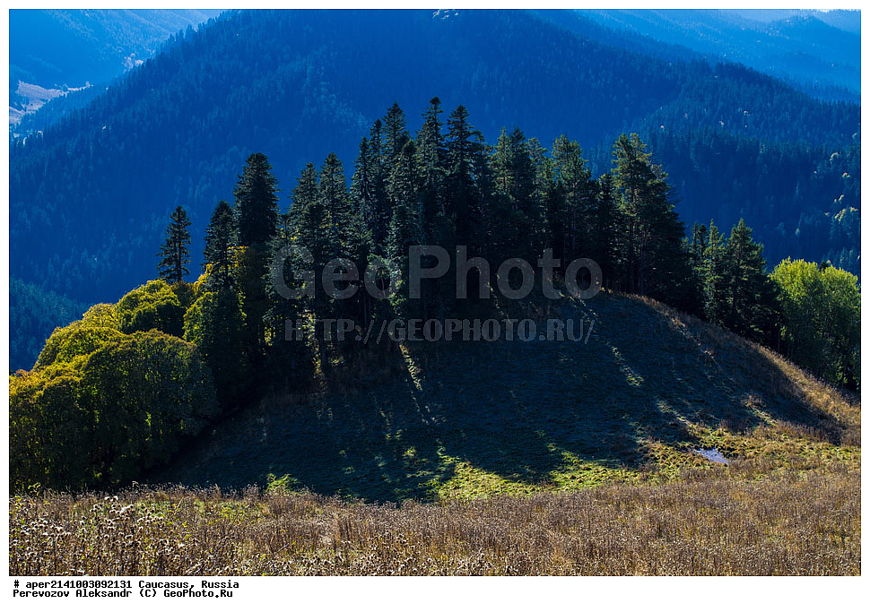 ������������� ����, ���������� ������, ���������-���������� ����������, ������, ���, ������, �������� ������, ���������� ��������������� ����������, �����, ���������� ��������������� ��������� ���������� ���������� ����� �. �. �����������, ������ �������, ����, ������