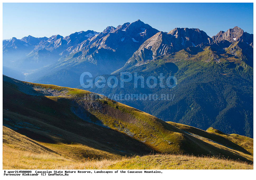 ���������� ��������������� ����������. ������, ����, ������, ����������, ������ ��������, ���� ������,��������� ���, ���������� ����