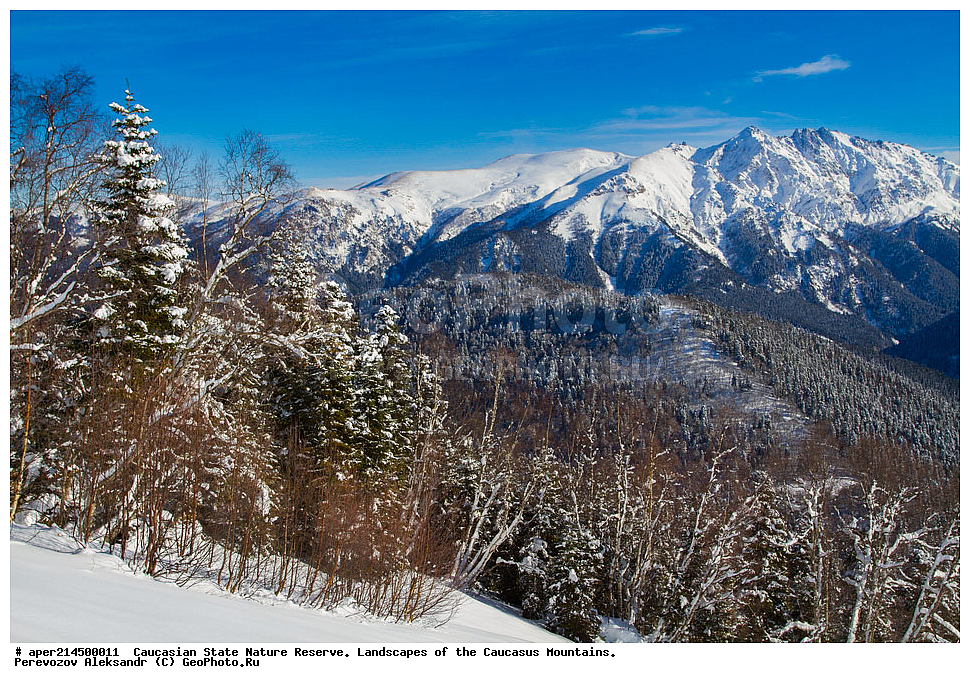 ���������� ��������������� ����������. ������, ����, ������, ����������, ������ ��������, ���� ������,��������� ���, ���������� ����