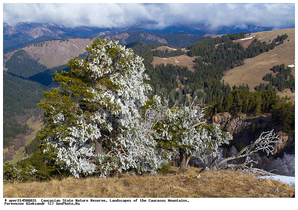 ���������� ��������������� ����������. ������, ����, ������, ����������, ������ ��������, ���� ������,��������� ���, ���������� ����