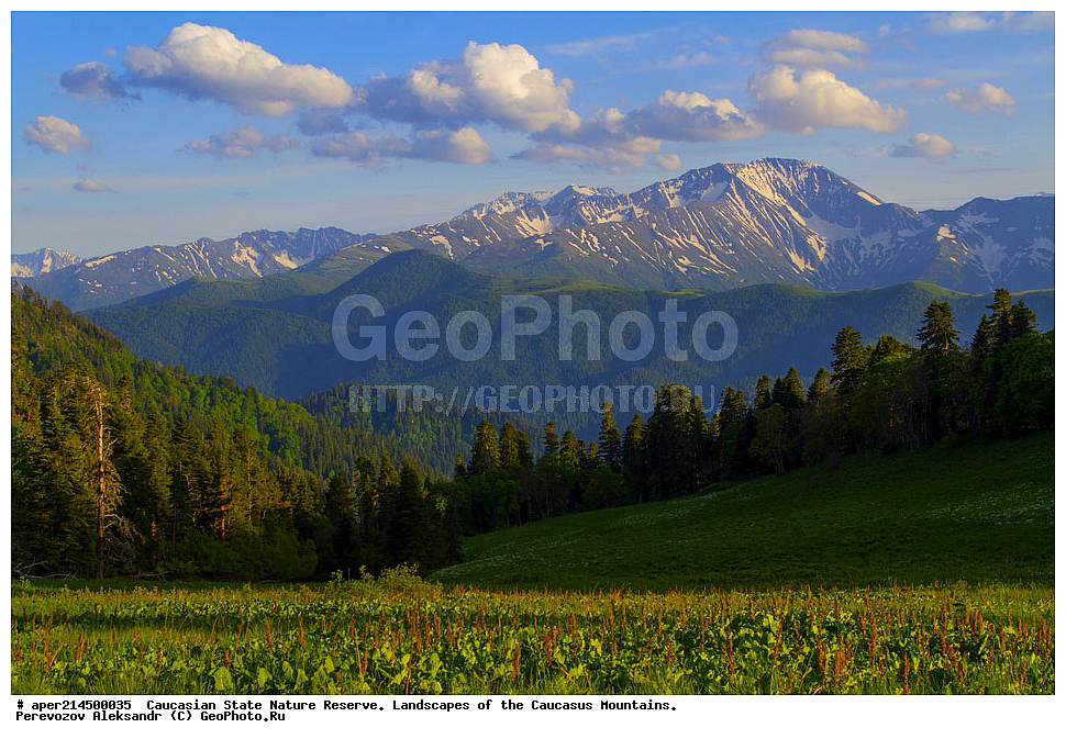 ���������� ��������������� ����������. ������, ����, ������, ����������, ������ ��������, ���� ������,��������� ���, ���������� ����