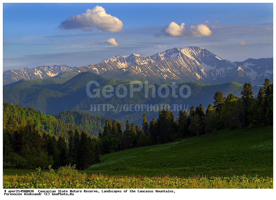 ���������� ��������������� ����������. ������, ����, ������, ����������, ������ ��������, ���� ������,��������� ���, ���������� ����