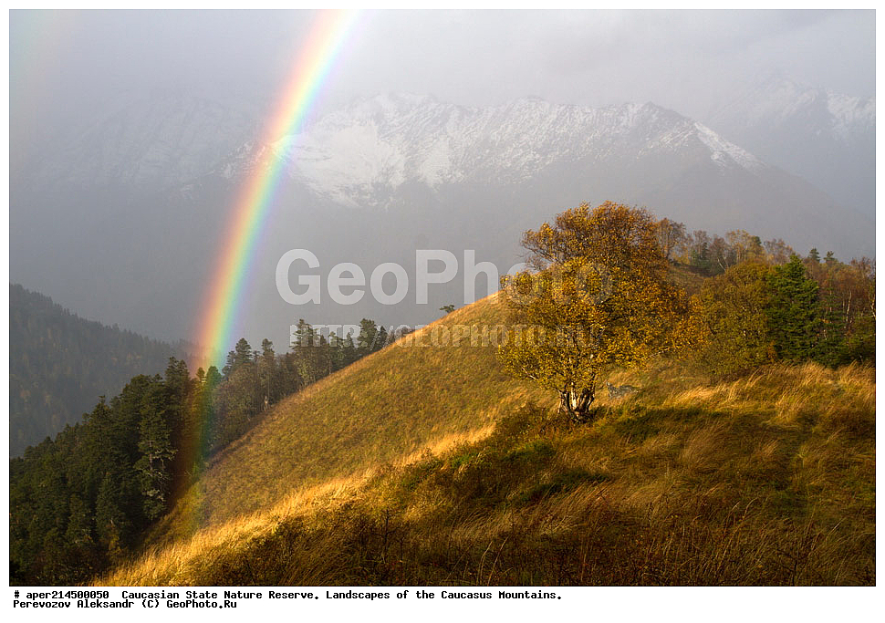 ���������� ��������������� ����������. ������, ����, ������, ����������, ������ ��������, ���� ������,��������� ���, ���������� ����